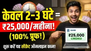 Online local business listing manager job